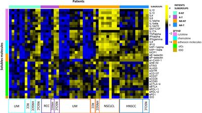 A network approach to define the predictive role of immune profile on tumor response and toxicity of anti PD-1 single agent immunotherapy in patients with solid tumors